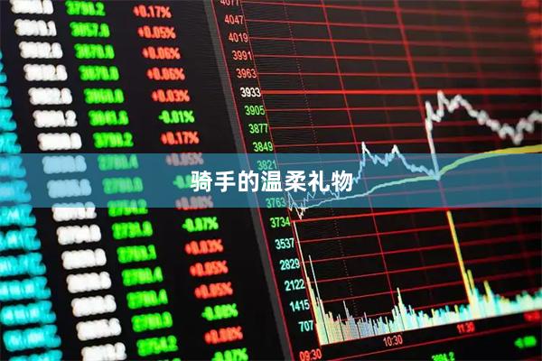 骑手的温柔礼物