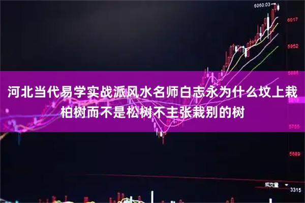 河北当代易学实战派风水名师白志永为什么坟上栽柏树而不是松树不主张栽别的树