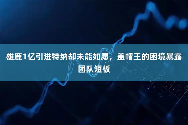 雄鹿1亿引进特纳却未能如愿，盖帽王的困境暴露团队短板
