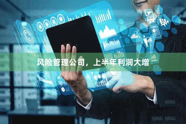 风险管理公司，上半年利润大增
